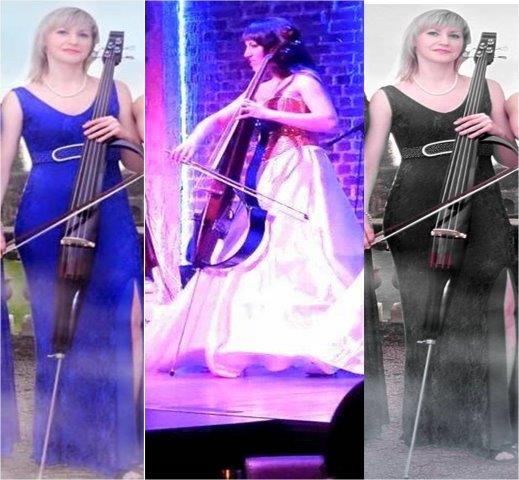 cello artists pune