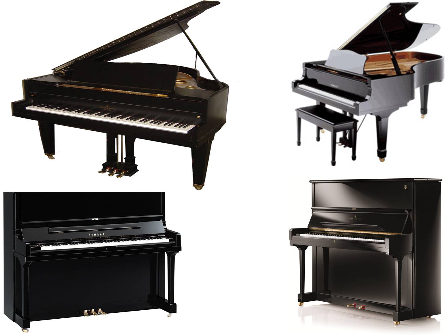 best piano on rent pune